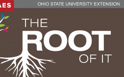The Root of It Newsletter