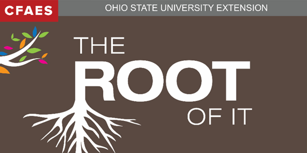 The Root of It Newsletter